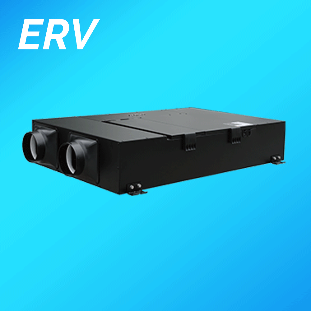 ERV